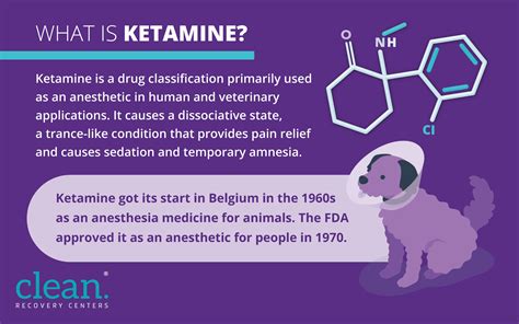 ketamine drug facts